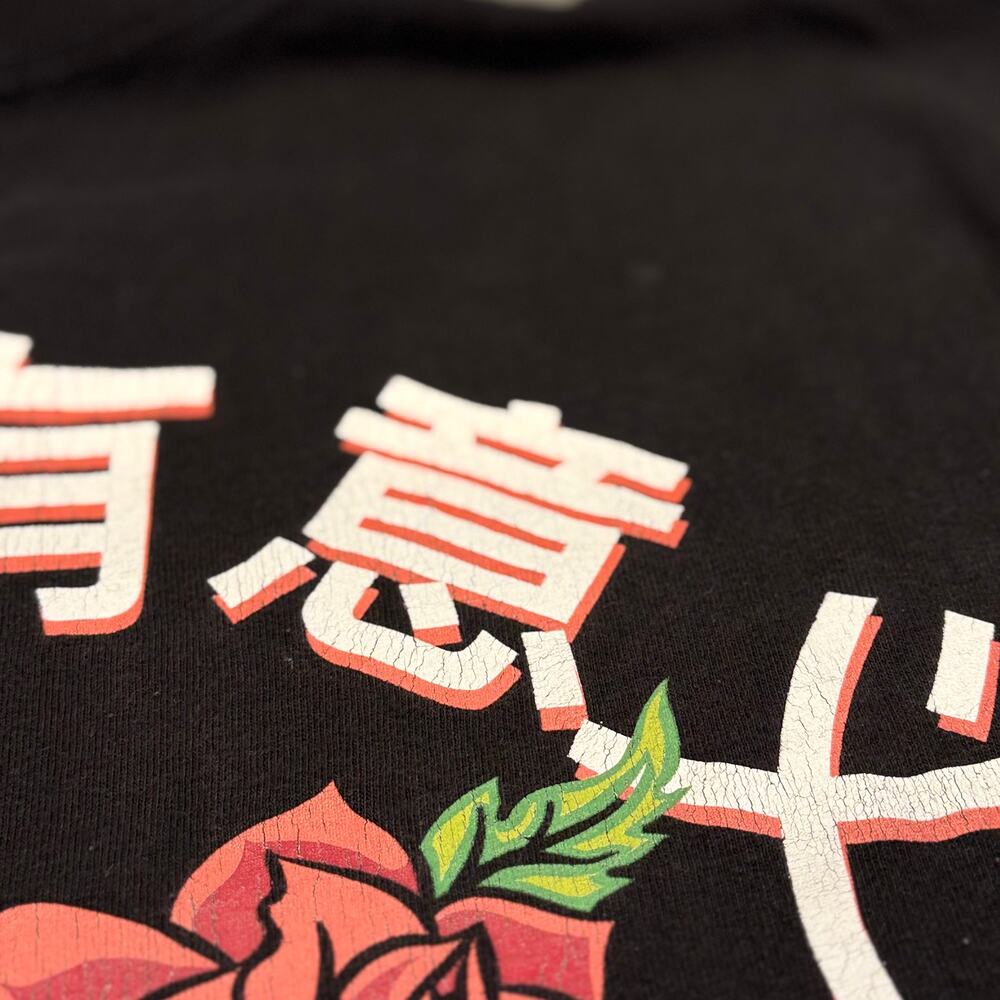 Broken‎ Promises Grunge Rose Graphic J-Pop Kanji Streetwear Tee M Indie Sleaze - Picture 6 of 8